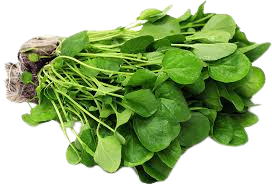 Agrião