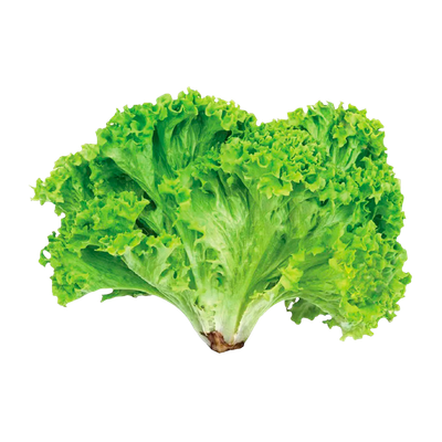 Alface