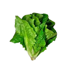 Almeirão