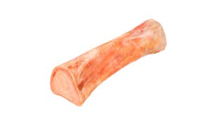 Osso Bovino