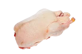 Pato Unidade