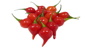 Pimenta Biquinho