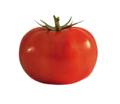 Tomate